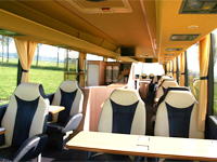 VIP-bus interieur 30
